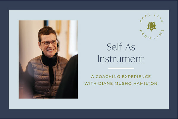 Self As Instrument Banner